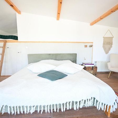 Guest House Bulgarka Dibich Dış mekan fotoğraf