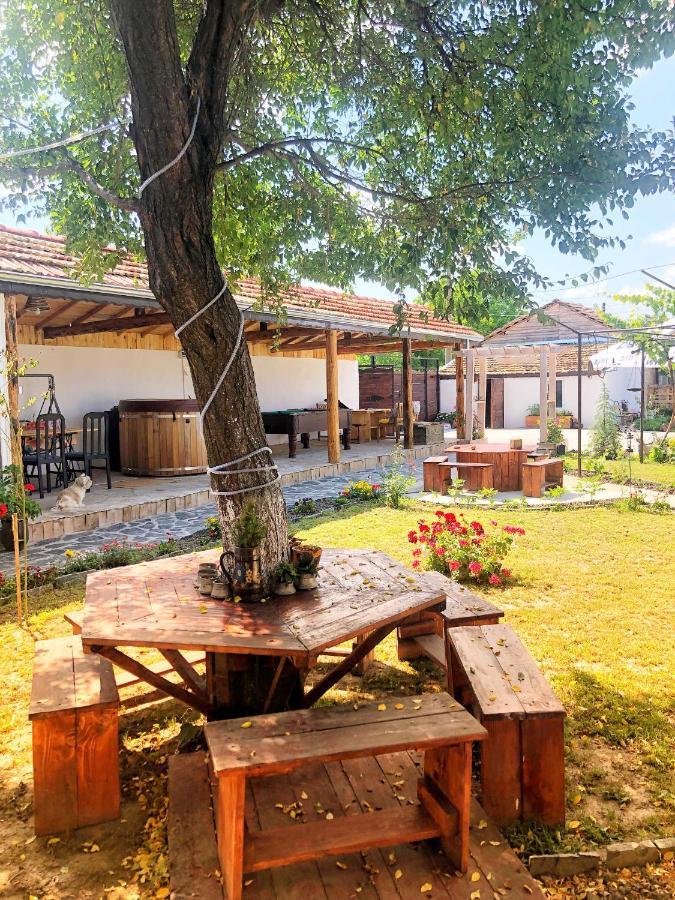 Guest House Bulgarka Dibich Dış mekan fotoğraf