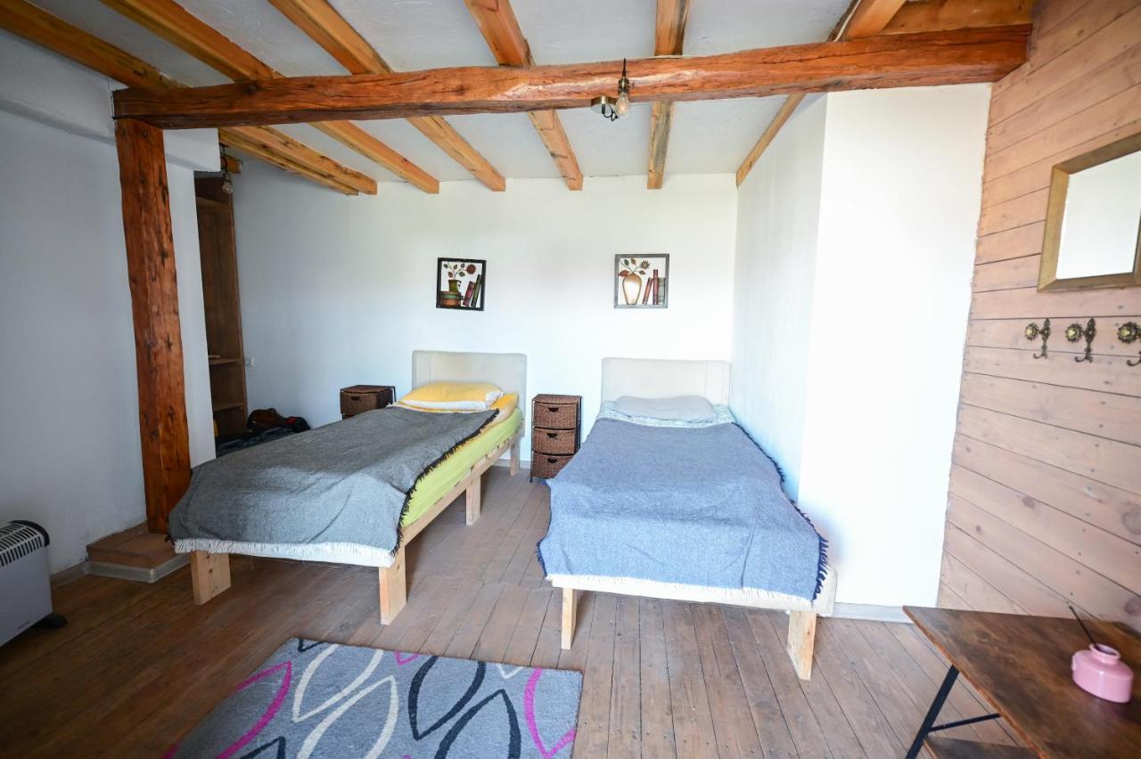 Guest House Bulgarka Dibich Dış mekan fotoğraf