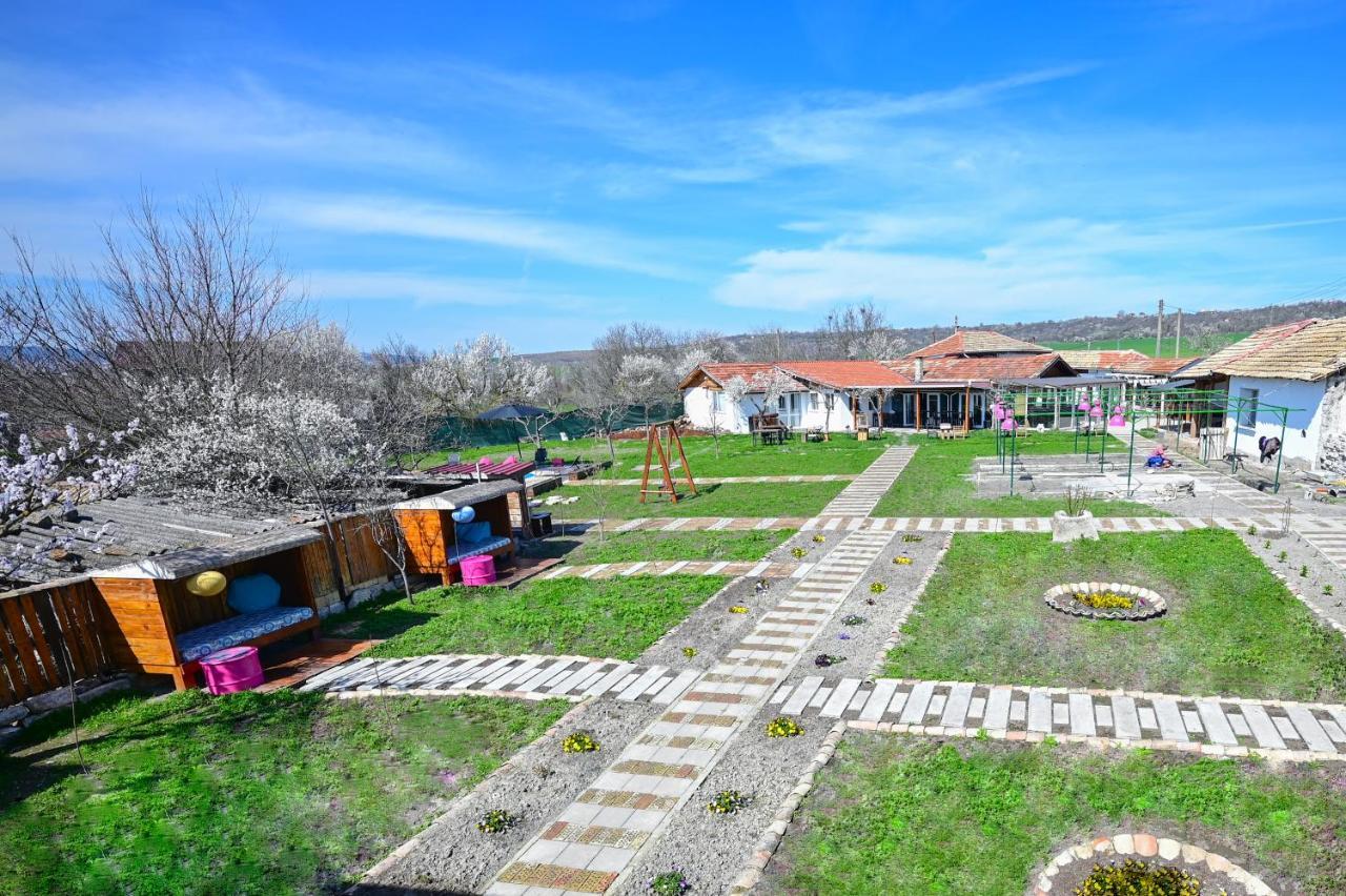 Guest House Bulgarka Dibich Dış mekan fotoğraf